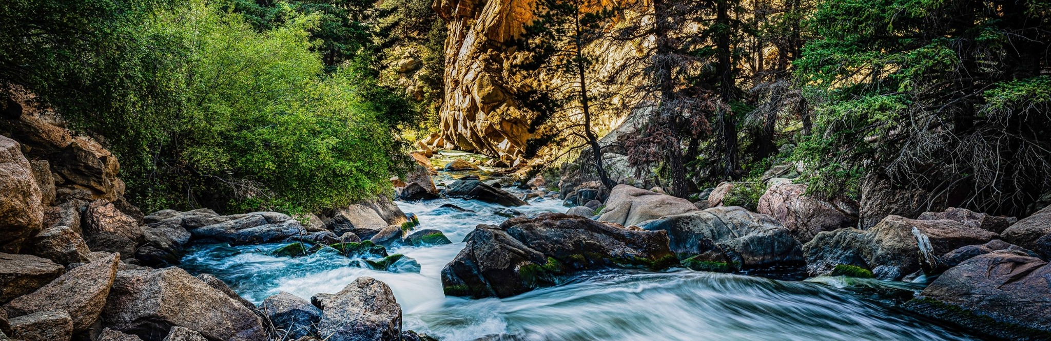 A peaceful river flowing through an evergreen forest